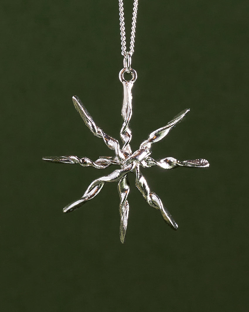 Venus der Stern der Liebe waldstern