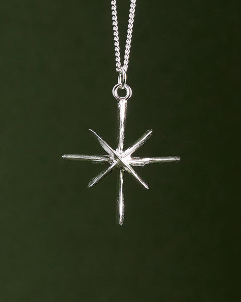 Sirius - der hellste Stern